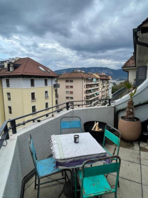 Spacious and centered apartment in Geneva